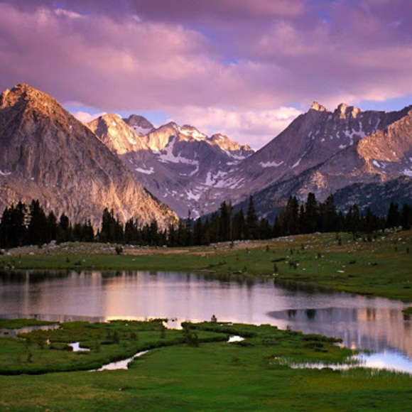 Meet your Posher, Fatima - Picture 1 of 1